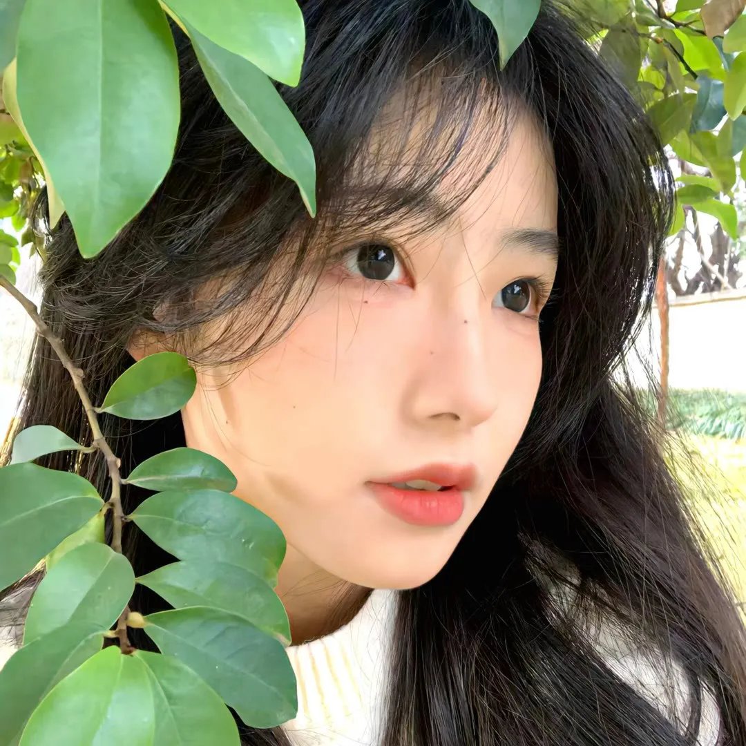 恋恋红尘